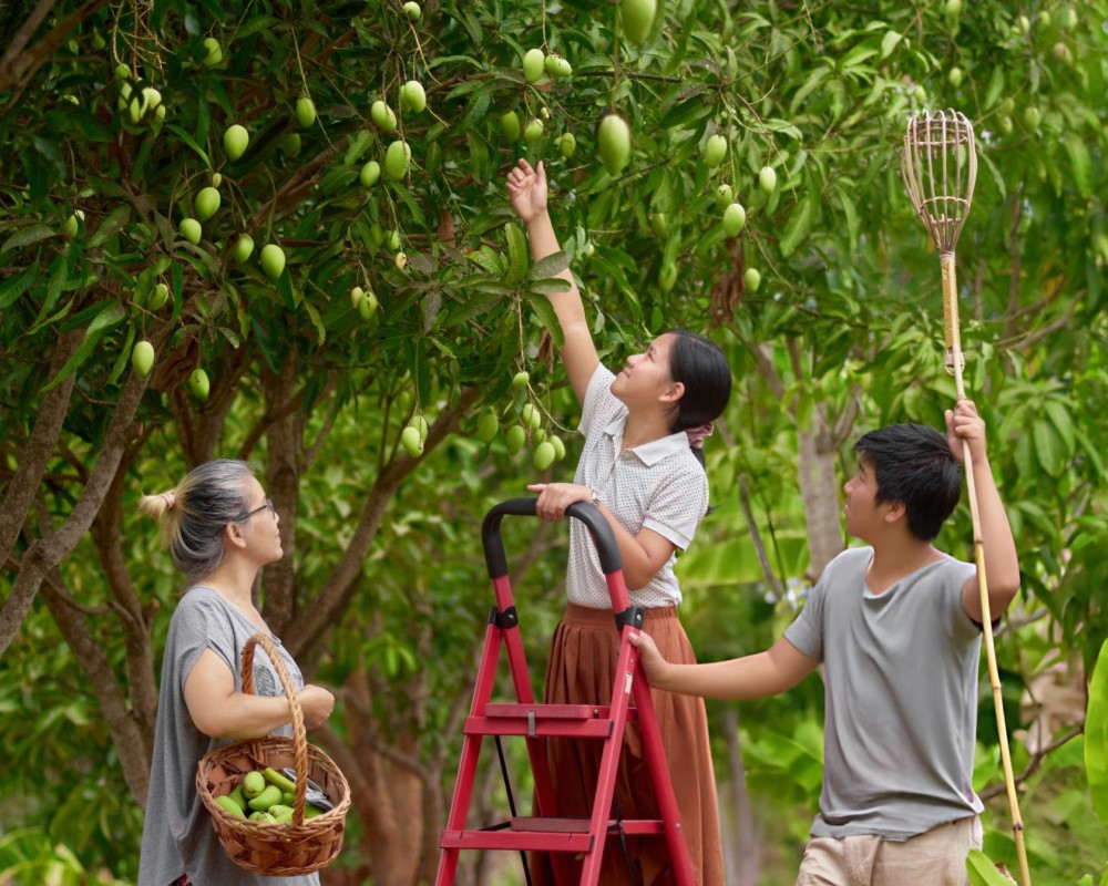 Agricultural Supplier Search